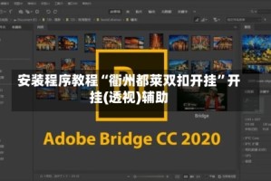 安装程序教程“衢州都莱双扣开挂”开挂(透视)辅助