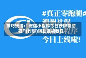 技巧玩法:“微信小程序今日长牌辅助器”(作弊)辅助透视教程
