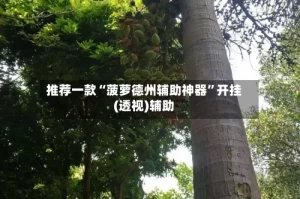 推荐一款“菠萝德州辅助神器”开挂(透视)辅助