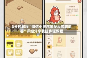 3分钟教程“微信小程序家乡大贰辅助器”详细分享装挂步骤教程