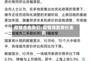 疫情击倒房价/疫情导致房价走向