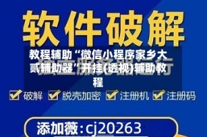教程辅助“微信小程序家乡大贰辅助器”开挂(透视)辅助教程