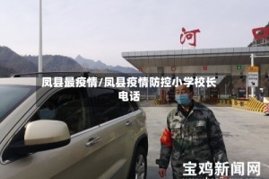 凤县最疫情/凤县疫情防控小学校长电话