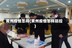 黄州疫情怎样(黄州疫情怎样防控)