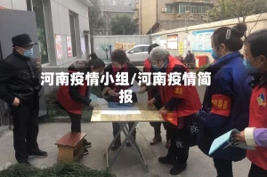 河南疫情小组/河南疫情简报
