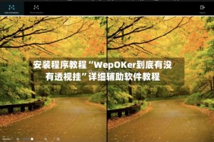 安装程序教程“WepOKer到底有没有透视挂”详细辅助软件教程