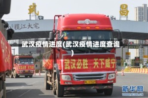 武汉疫情进度(武汉疫情进度查询)