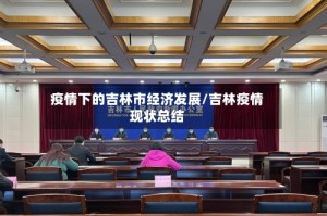 疫情下的吉林市经济发展/吉林疫情现状总结