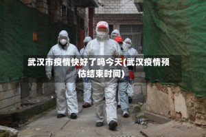 武汉市疫情快好了吗今天(武汉疫情预估结束时间)