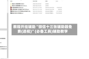 教程开挂辅助“微信十三张辅助器免费(透视)”(必备工具)辅助教学