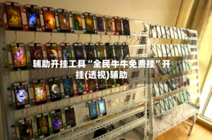 辅助开挂工具“全民牛牛免费挂”开挂(透视)辅助