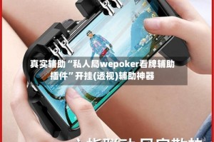 真实辅助“私人局wepoker看牌辅助插件”开挂(透视)辅助神器