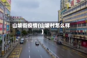 山坡街疫情(山坡村怎么样)
