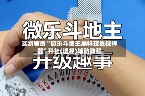 实测辅助“微乐斗地主黑科技透视神器”开挂(透视)辅助教程