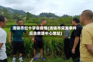 清镇市红十字会疫情(清镇市突发事件应急救援中心地址)