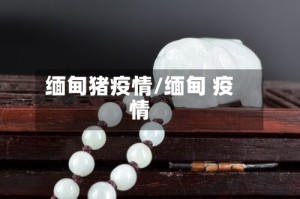 缅甸猪疫情/缅甸 疫情