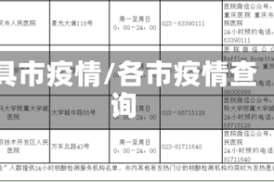 具市疫情/各市疫情查询