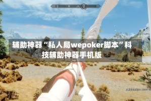 辅助神器“私人局wepoker脚本”科技辅助神器手机版