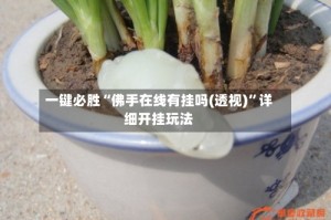一键必胜“佛手在线有挂吗(透视)”详细开挂玩法