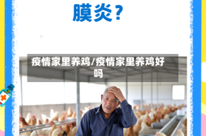 疫情家里养鸡/疫情家里养鸡好吗