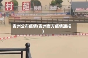 贵州公布疫情(贵州官方疫情通报)