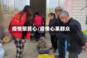 疫情聚民心/疫情心系群众