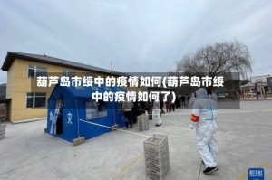 葫芦岛市绥中的疫情如何(葫芦岛市绥中的疫情如何了)