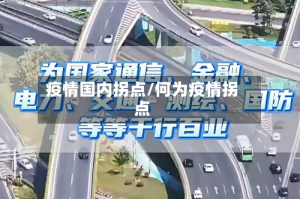 疫情国内拐点/何为疫情拐点