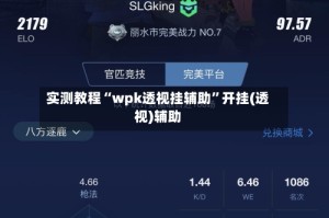 实测教程“wpk透视挂辅助”开挂(透视)辅助