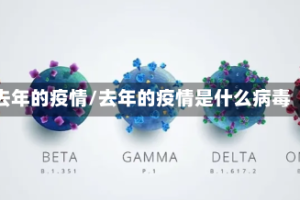 去年的疫情/去年的疫情是什么病毒