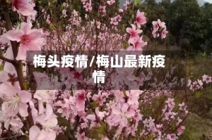 梅头疫情/梅山最新疫情