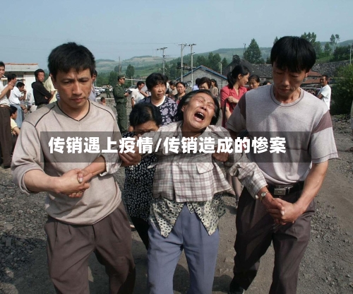 传销遇上疫情/传销造成的惨案-第2张图片