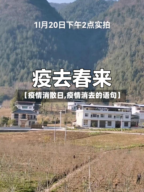 【疫情消散日,疫情消去的语句】-第2张图片