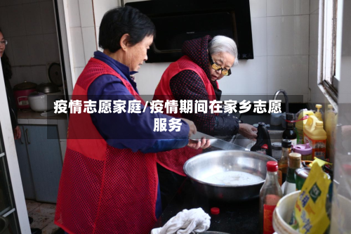 疫情志愿家庭/疫情期间在家乡志愿服务-第3张图片