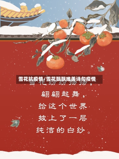 雪花抗疫情/雪花飘飘唯美诗句疫情-第2张图片