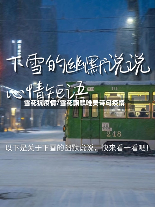 雪花抗疫情/雪花飘飘唯美诗句疫情-第3张图片