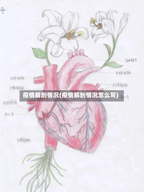 疫情解剖情况(疫情解剖情况怎么写)-第1张图片