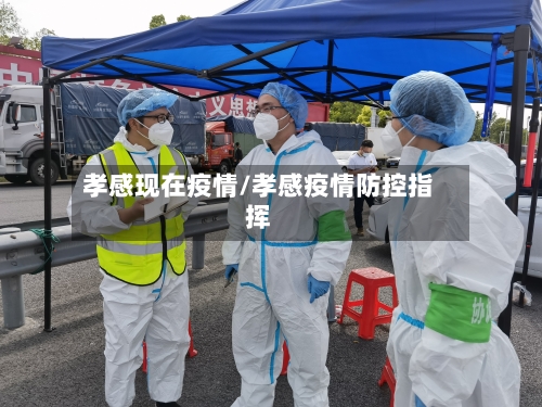 孝感现在疫情/孝感疫情防控指挥-第2张图片