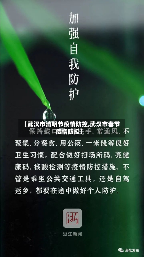 【武汉市清明节疫情防控,武汉市春节疫情防控】-第2张图片