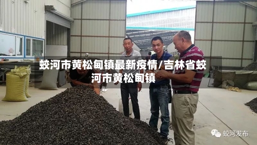 蛟河市黄松甸镇最新疫情/吉林省蛟河市黄松甸镇-第3张图片