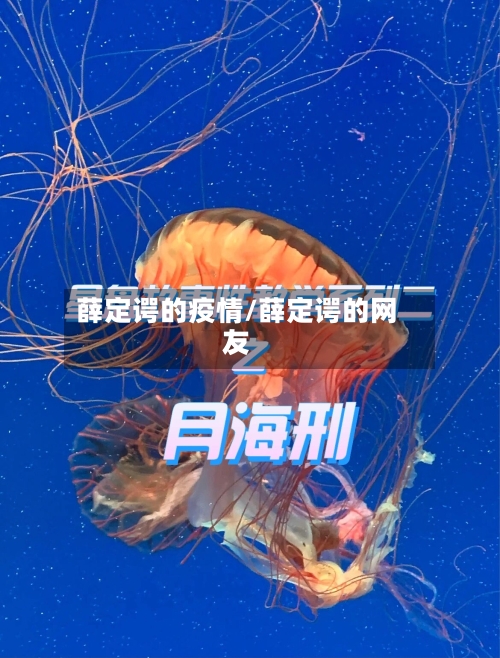 薛定谔的疫情/薛定谔的网友-第1张图片