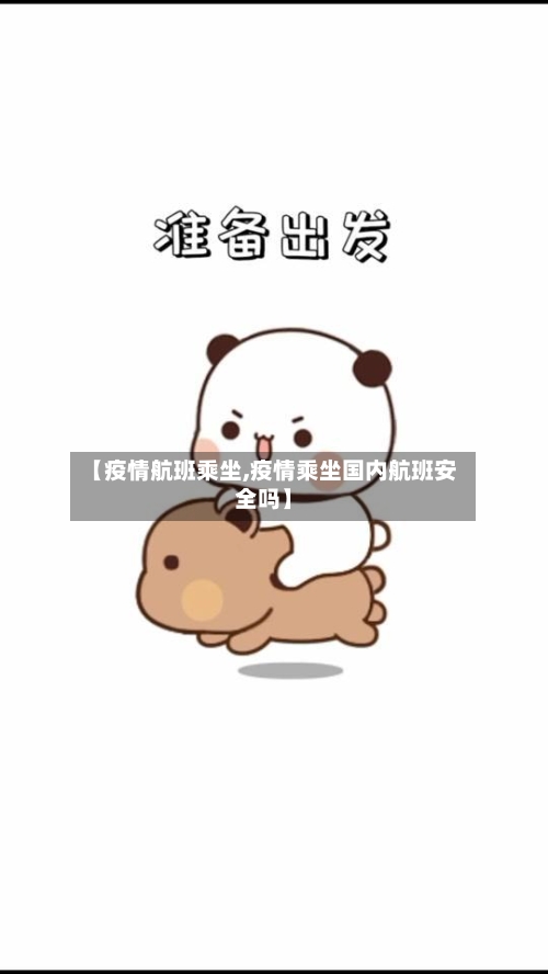 【疫情航班乘坐,疫情乘坐国内航班安全吗】-第3张图片