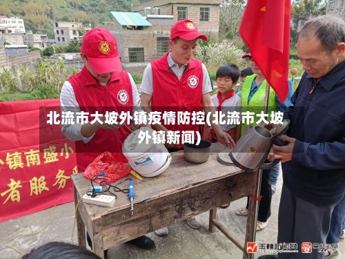 北流市大坡外镇疫情防控(北流市大坡外镇新闻)-第3张图片