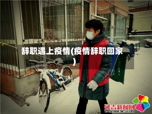 辞职遇上疫情(疫情辞职回家)-第2张图片