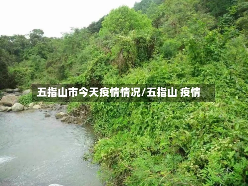 五指山市今天疫情情况/五指山 疫情-第2张图片