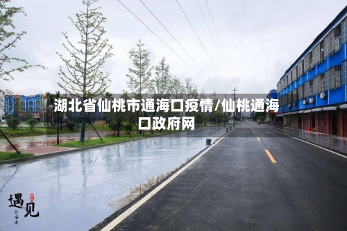 湖北省仙桃市通海口疫情/仙桃通海口政府网-第1张图片