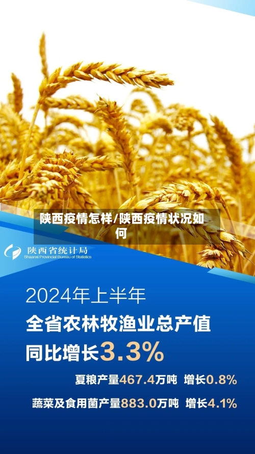 陕西疫情怎样/陕西疫情状况如何-第1张图片