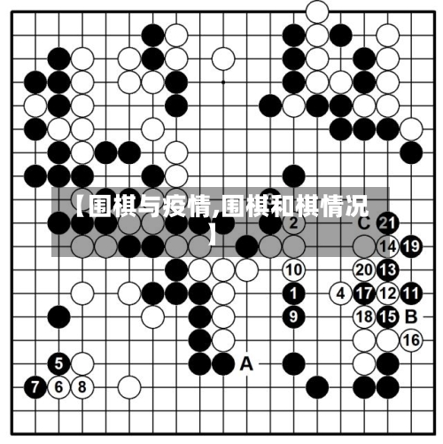 【围棋与疫情,围棋和棋情况】-第3张图片