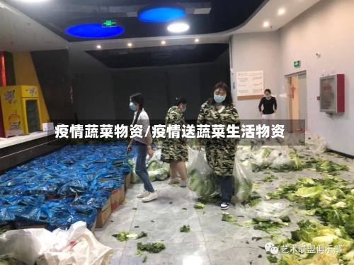 疫情蔬菜物资/疫情送蔬菜生活物资-第3张图片