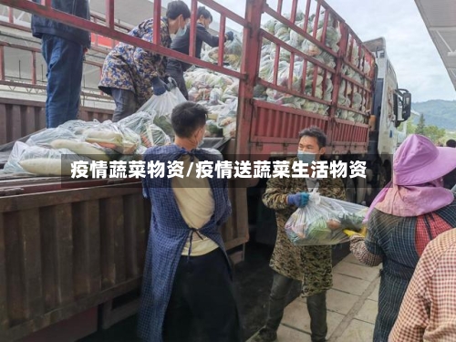 疫情蔬菜物资/疫情送蔬菜生活物资-第2张图片